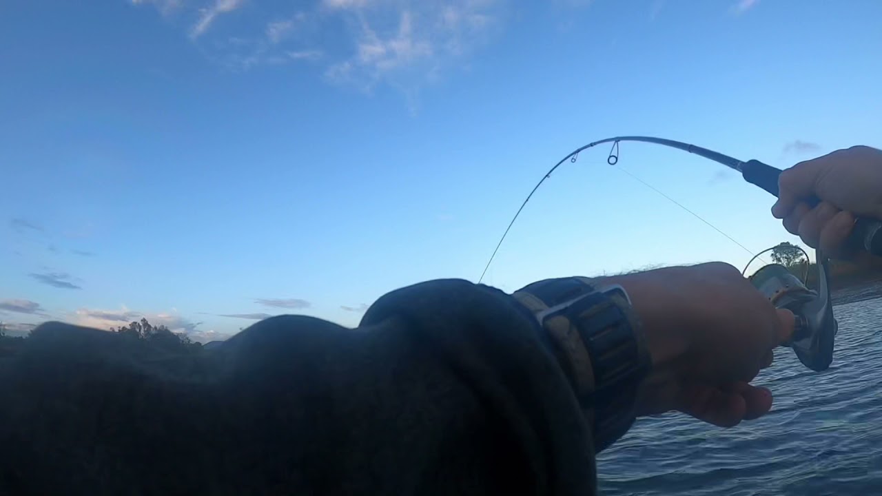 Pescando lubinas en superficie desde kayak en rías de Cantabria