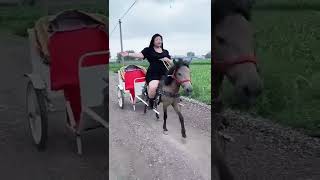 It is fun to ride the horse