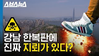 서울 한복판에 쥐 풀어야하는 이유?! / 스브스뉴스