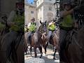 Respect to the Met Police Officers and their amazing Horses after this morning duty#respect #london