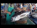 Skill luar biasa bro fadil potong ikan tuna sirip kuning