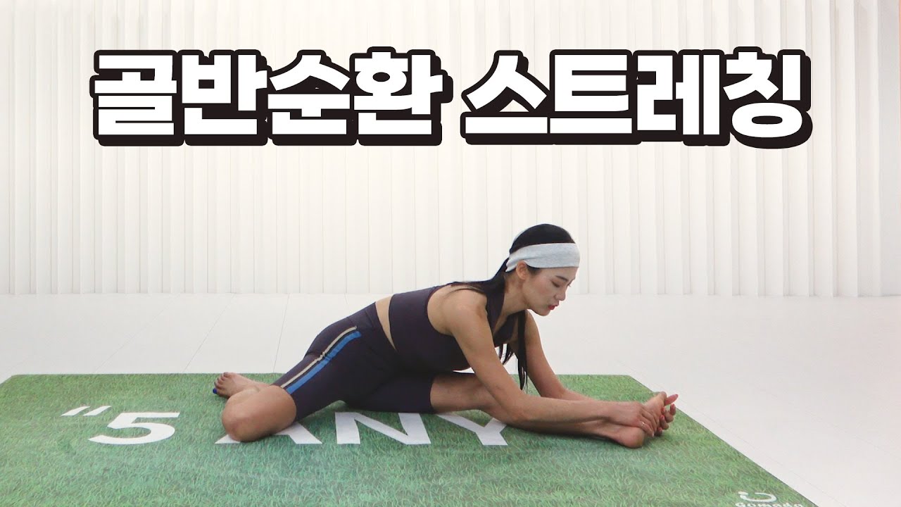 허벅지살은 부종! 골반순환 스트레칭부터 시작하세요