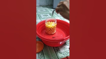 Cách ủ ngô ngọt câu cá chép hiệu quả.#moicauca#shorts