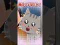 【2ch】猫たちの謎の行動の理由は？【アニマル】 #Shorts