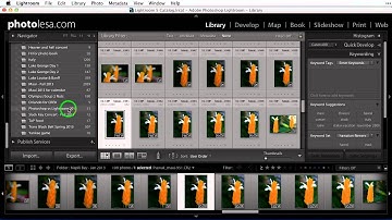 Manage Your Lightroom Library with Lesa Snider