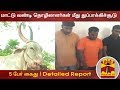 New video by Thanthi TV on YouTube