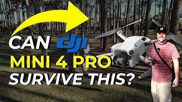 Ultimate DJI Mini 4 Pro Obstacle Avoidance Test