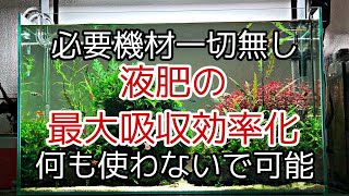 【重要】葉面吸収の常識　なぜかアクアリウムでは知られていないこと