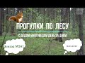 Прогулки по лесу. День за днем с дедом Многоведом. 19 мая 2022г. Эпизод 267.