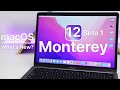 macOS 12 Monterey Beta 1 is Out! - What's New?