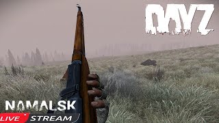 What It Takes To Stay Alive On Namalsk ( DayZ ) 1440p  Live Stream