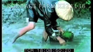 Wet Culture Rice - 221136-01X | Footage Farm