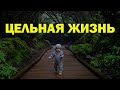 Цельная жизнь | Мой путь