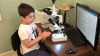 Part 2 about microscopes - Stereo Microscope