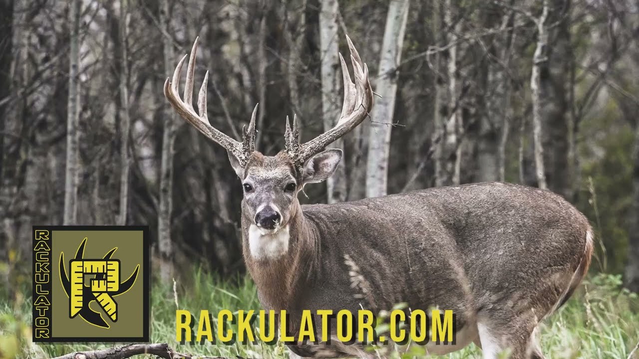 Rackulator makes scoring your trophy simple, fast, and accurate!