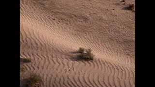A story of Zam Zam (Aab e Zam Zam Ki Kahani)