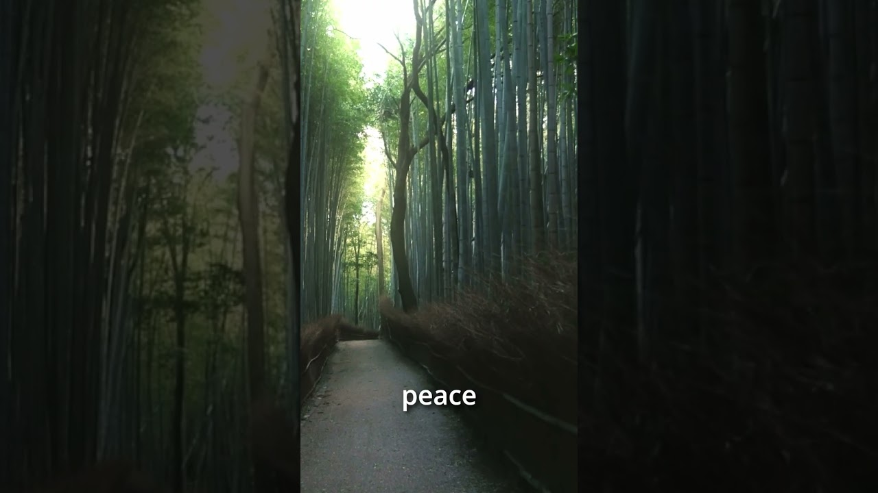 Why Kyoto Will Shock You