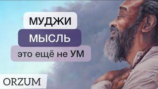 Это нужно знать каждому! Цитаты Муджи на русском. Мысль - это еще не ум