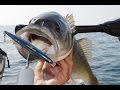 Fishing with DUO #63: Two Nice Sea Bass on Tide Minnow Slim 120