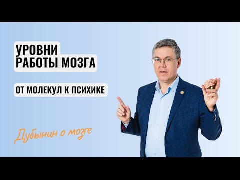 Видео: Дубынин о мозге. Уровни работы мозга: от молекул к психике