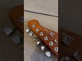 Harley Benton Fusion IV