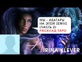 Мы - Аватары на этой Земле (часть 2) Расклад на картах Таро