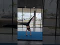 Kinsleystella 2024 acrobatic arts ambassador working with certified teacher acrowithashley
