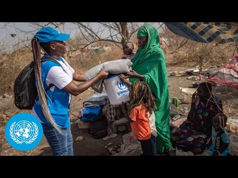 Видео: UN News in Brief (15 December 2023) | United Nations