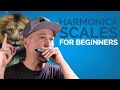 Harmonica Scales For Beginners (While Learning to Play Something Cool)