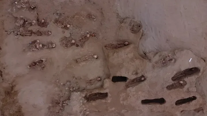 76 child sacrifice victims, all with their chests cut open, unearthed at burial site in Peru