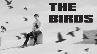 Watch Connor Price The Birds video