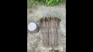 Móc mồi Chuẩn bị cắm câu ếch vào buổi chiều 🥰