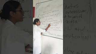 faetal blood circulation explain by 23 Batch ANM TRAINING SCHOOL SDH jagdishpur bhojpur