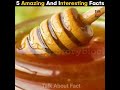 5 Craziest Facts You Must Know | Talk About Fact | #shorts