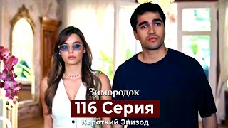 картинка: Зимородок 116 Cерия (Короткий Эпизод) (Русский дубляж)