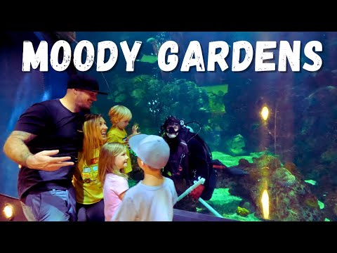 Moody Gardens 2023 | Aquarium | Galveston, Texas