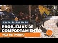 Corrección De Problemas De Comportamiento En CABALLO COLOMBIANO - Doma racional - Pablo Saldarriaga