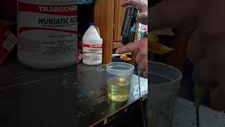 Bench Testing Quantum Fuel Pump. Xk8 Fuel Pump Bench Test