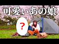 可愛いあの女子と再会!満開の桜お花見キャンプ【成田ゆめ牧場オートキャンプ場】