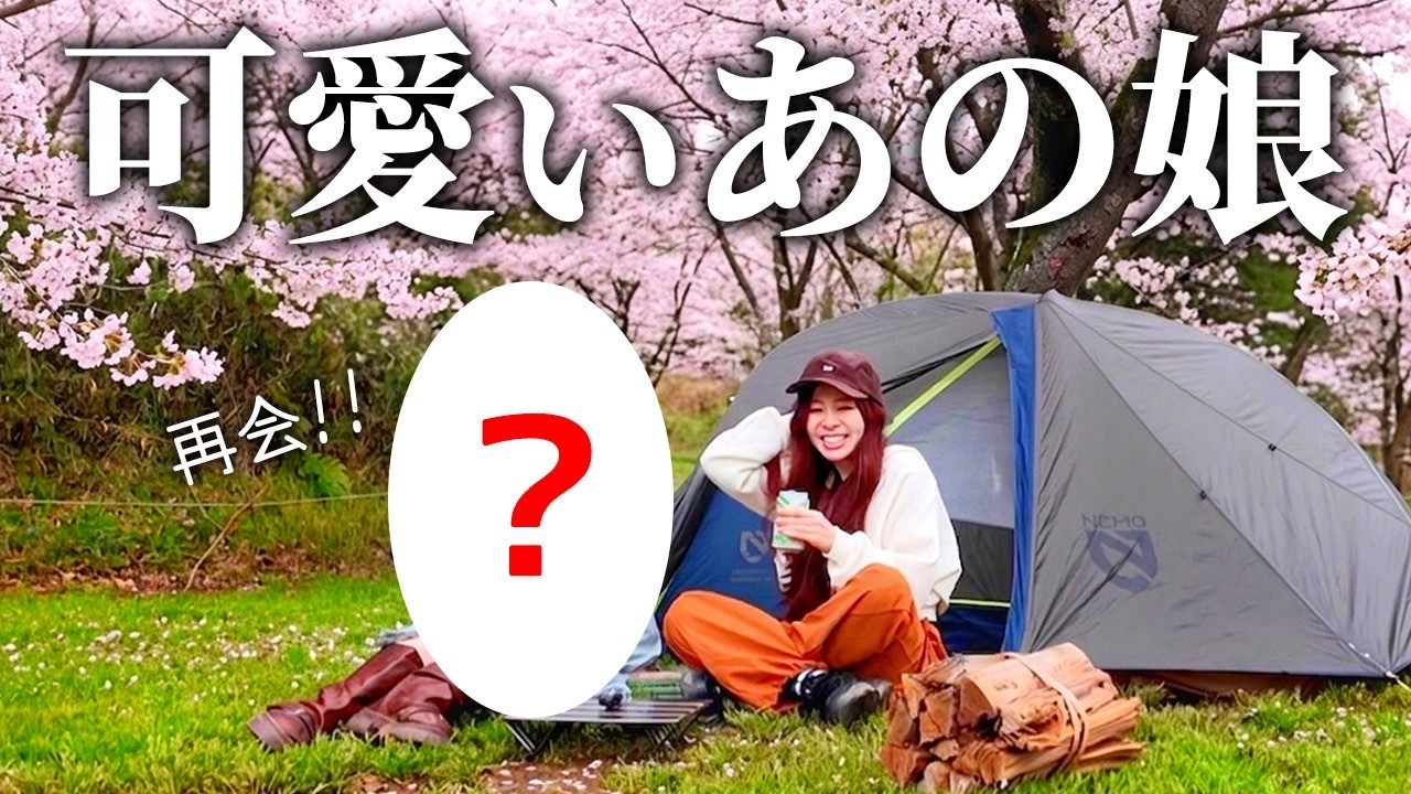 可愛いあの女子と再会!満開の桜お花見キャンプ【成田ゆめ牧場オートキャンプ場】