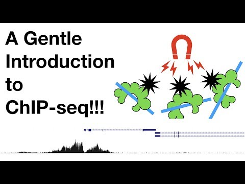 Vídeo: CSA: Um Serviço Da Web Para O Processo Completo De Análise ChIP-Seq