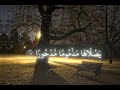 قراءة عبد الرحمن وهو صغير