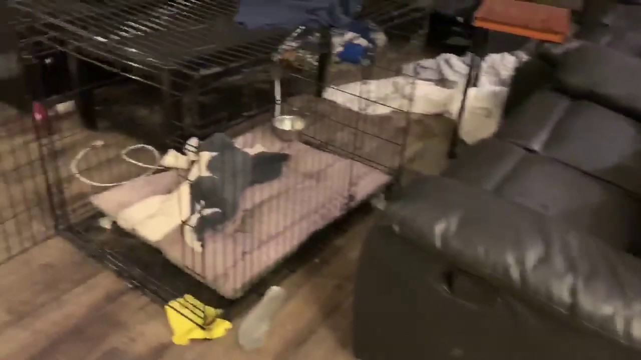 Emergency Call Bathroom Sink Hose Leak YouTube