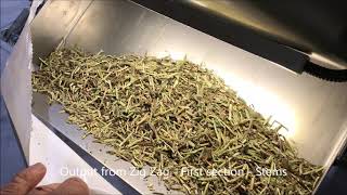 Herb processing line - Melissa