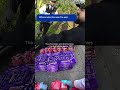 Chocolate Heist Busted 🍫🚔 | 95 Creme Eggs Stolen | Police Arrest Easter Egg Thief