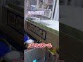 【クレーンゲーム】#クレーンゲーム #ゲームセンター #シール #シール帳