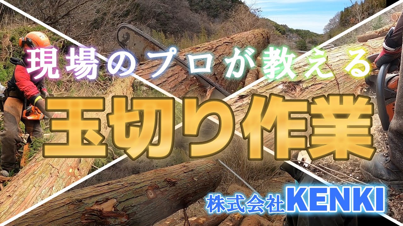現場のプロが教える玉切り作業