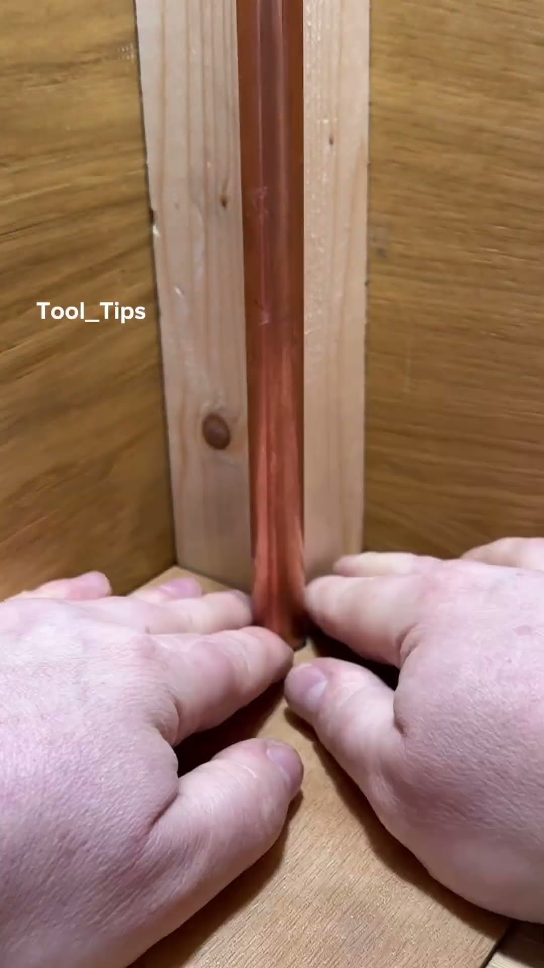 The Best Tips 2