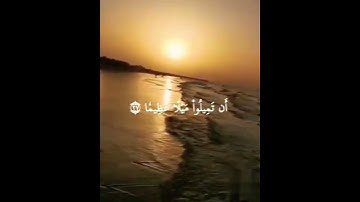 وَٱللَّهُ يُرِيدُ أَن يَتُوبَ عَلَيۡكُمۡ  قرآن كريم القارئ طارق محمد