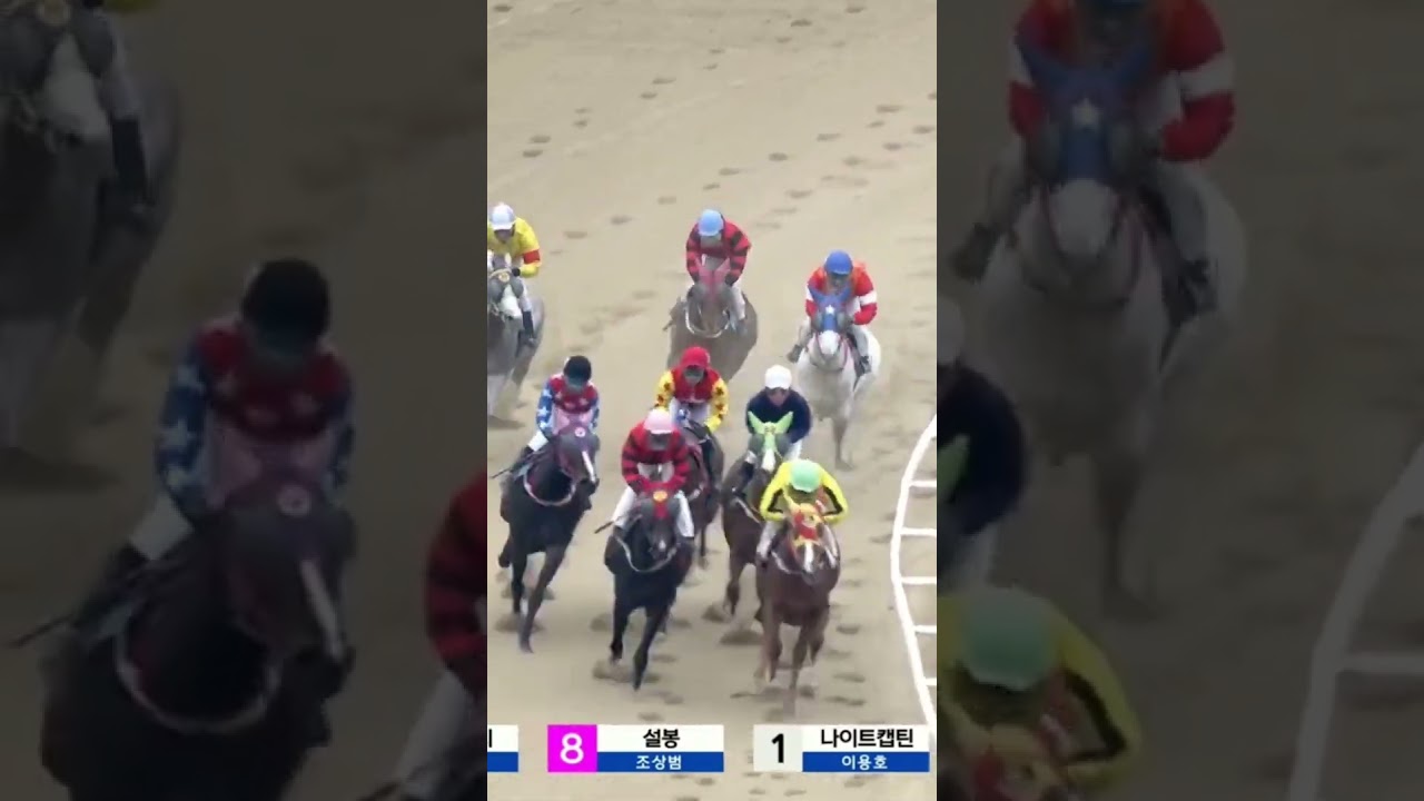 3번안죽네 5번배당말잡고 안되네
